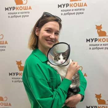 Импульс 