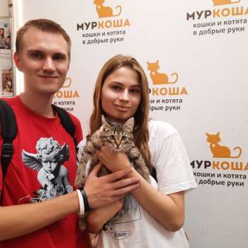 Иока 