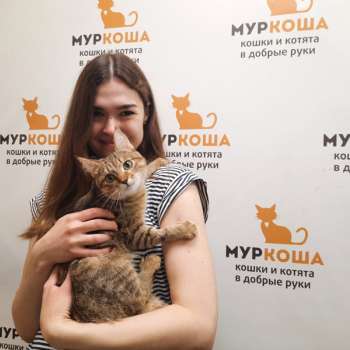 Ионика 