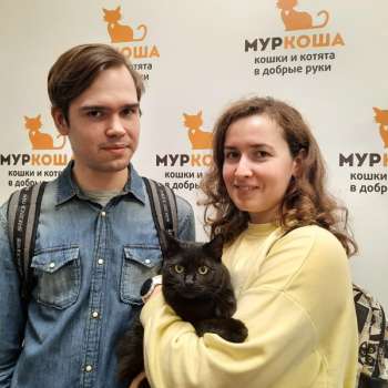Ирга