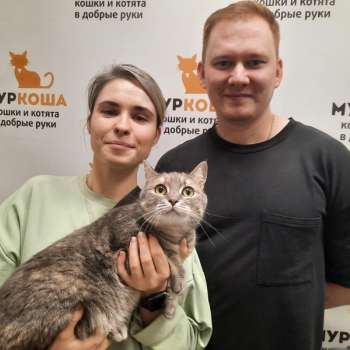 Ирисса 
