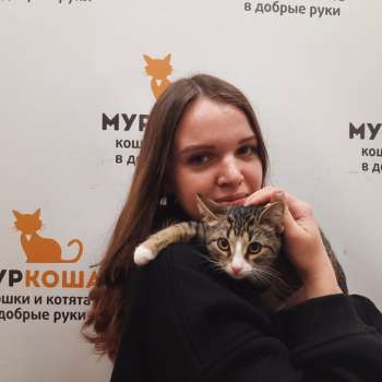 Исиль 