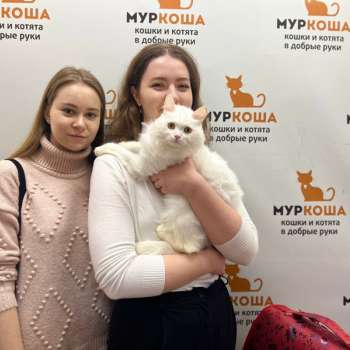 Хлопочка 