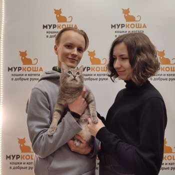 Хокинг 