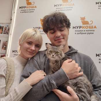 Кириешка 