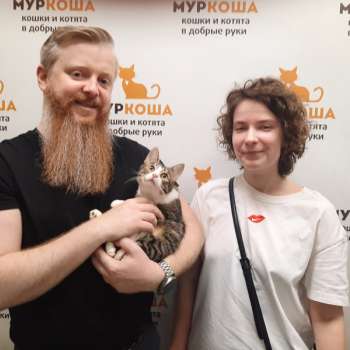 Клинт 