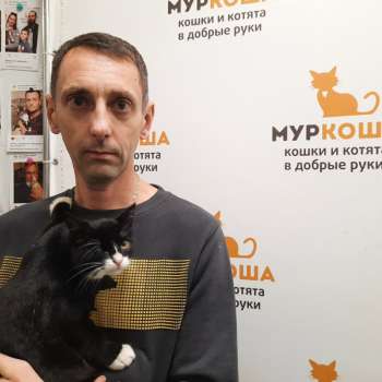 Кнопкин 