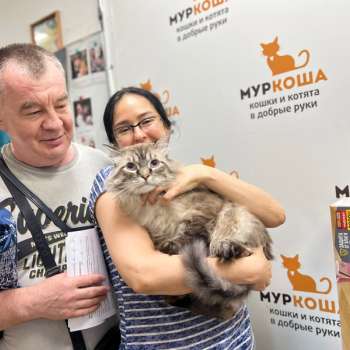 Князь Болконский