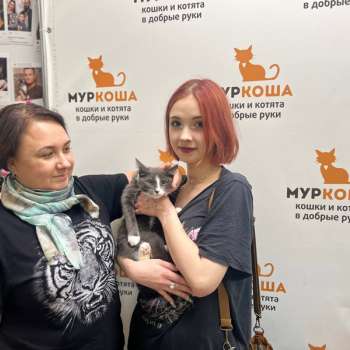 Копеечка 