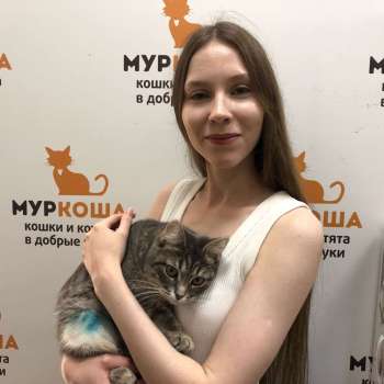 Кротесся 