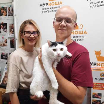 Кустик 