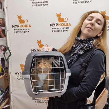 Ладислас 