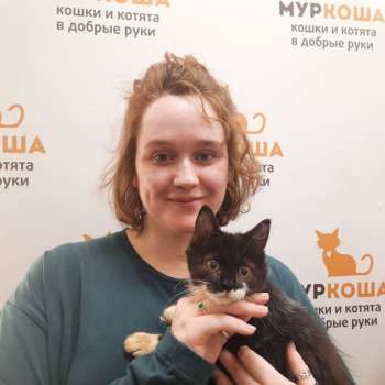Личи 