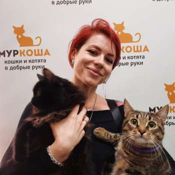 Дрипс 