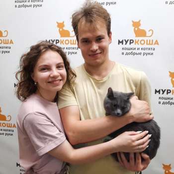 Луламея 