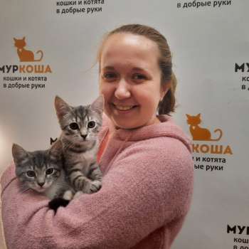 Бристоль 