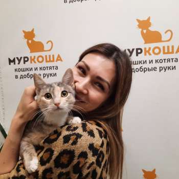 Милиоти 