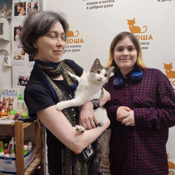 Минзи 