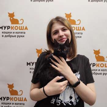 Митенка 