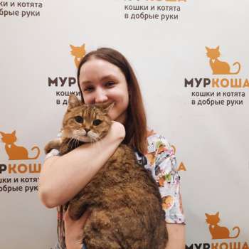 Муська 