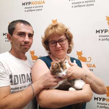Ниффи 