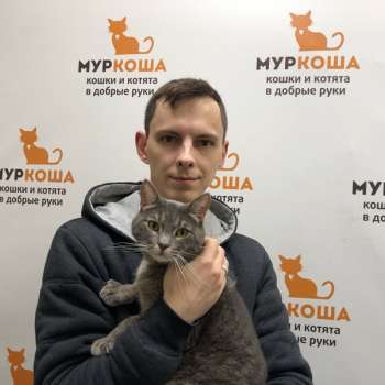 Одинс 