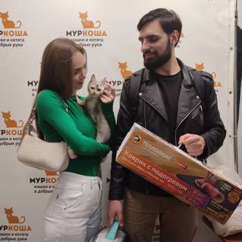 Пчики 