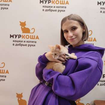 Пекан 