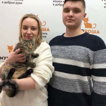 Персида