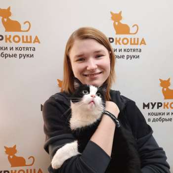 Пипино 