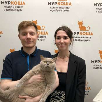 Плумкот 
