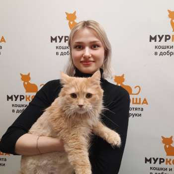 Плут 