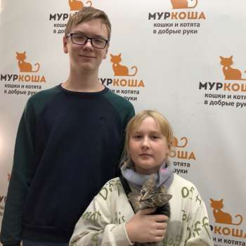 Принглс 