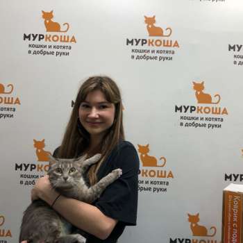Пуцхена 
