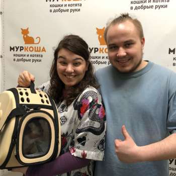 Риволи 