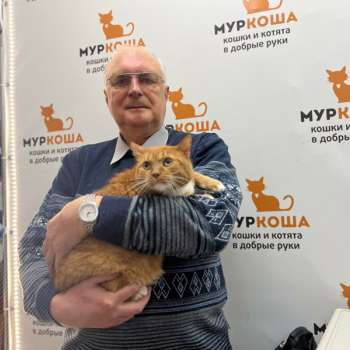 Рыжулькин 