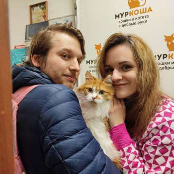 Салями 