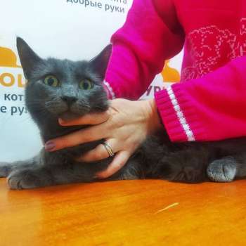 Савушкин 