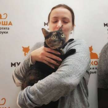 Шаума