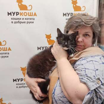 Шторм 
