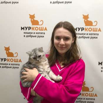 Симкин Пух