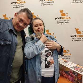 Скрипка 