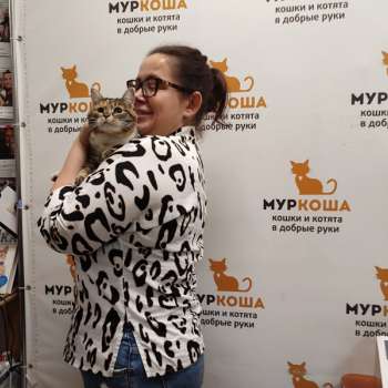 Соя 