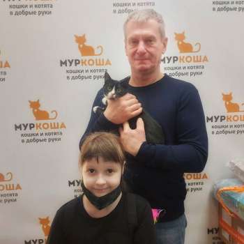Сюрприз