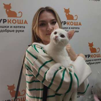 Твик 