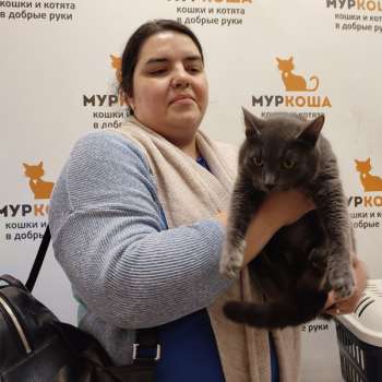 Визимир 
