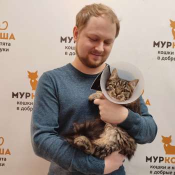 Воробушек 