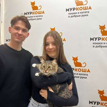 Вульфрика 