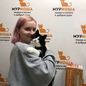 Юркис