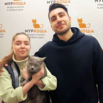 Южанка 